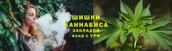apvp Новозыбков