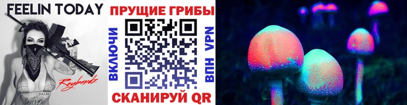 Галлюциногенные грибы Magic Shrooms  Тула 